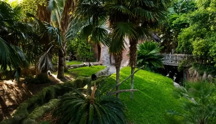 bioparc-banner